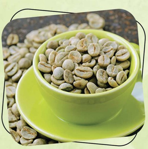 Green Coffee Beans Extract Chemical Resources Ingredients Network